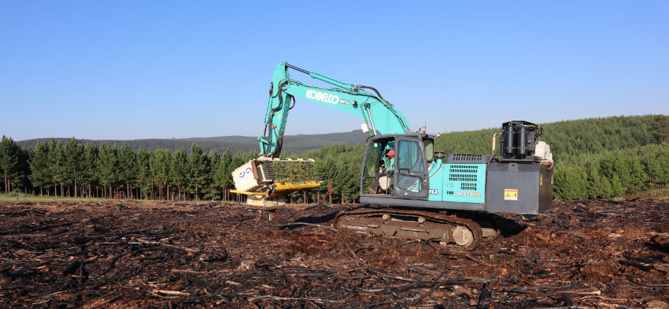 Modern Silviculture Symposium - gathering industry stakeholders to learn about the latest silviculture technologies and trends from nurseries to field.